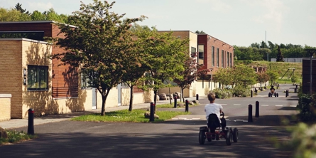 skole og børn udenfor