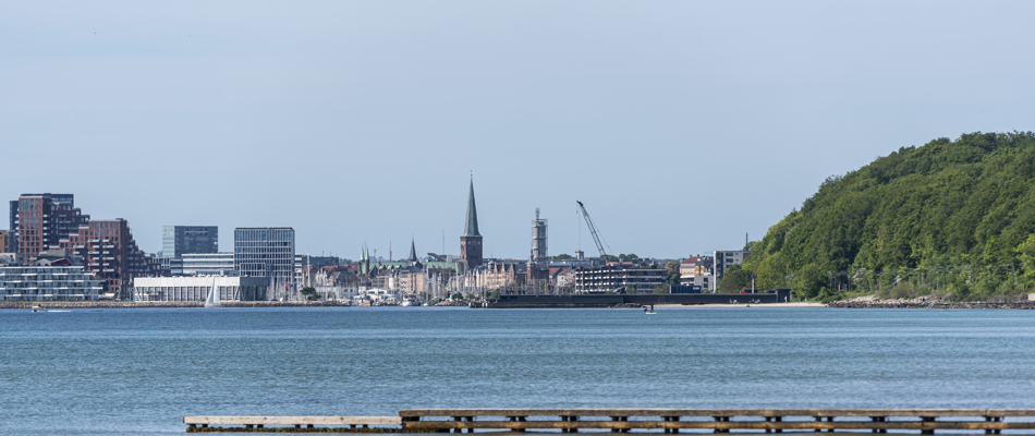 Sommer ved Bellevue med kig mod Aarhus
